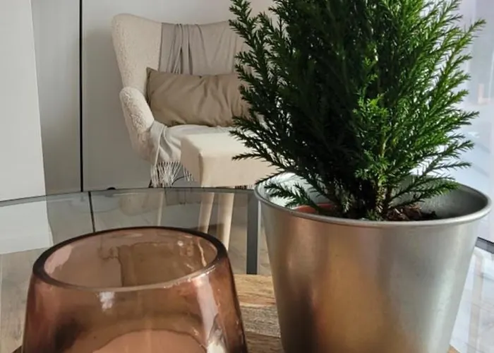 Appartement Wrzosowy Zakatek Karpacz